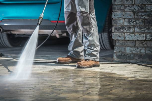 Best Boat and Dock Cleaning  in South Pasadena, FL