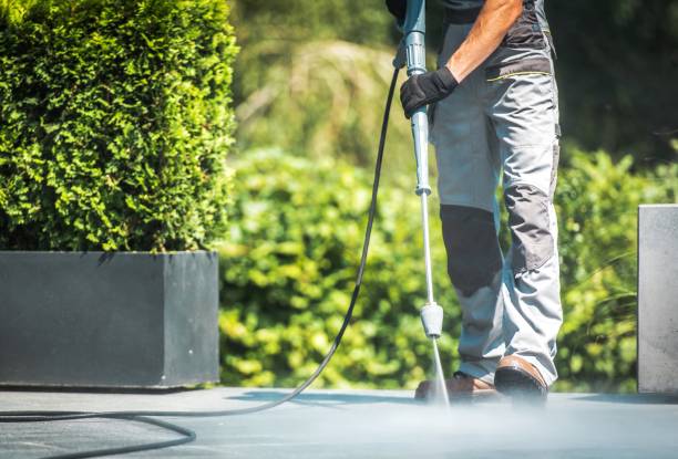  South Pasadena, FL Pressure Washing Pros