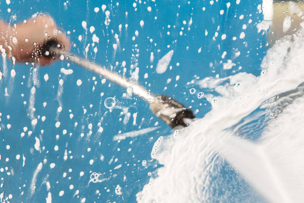 Best Animal Enclosure Cleaning  in South Pasadena, FL